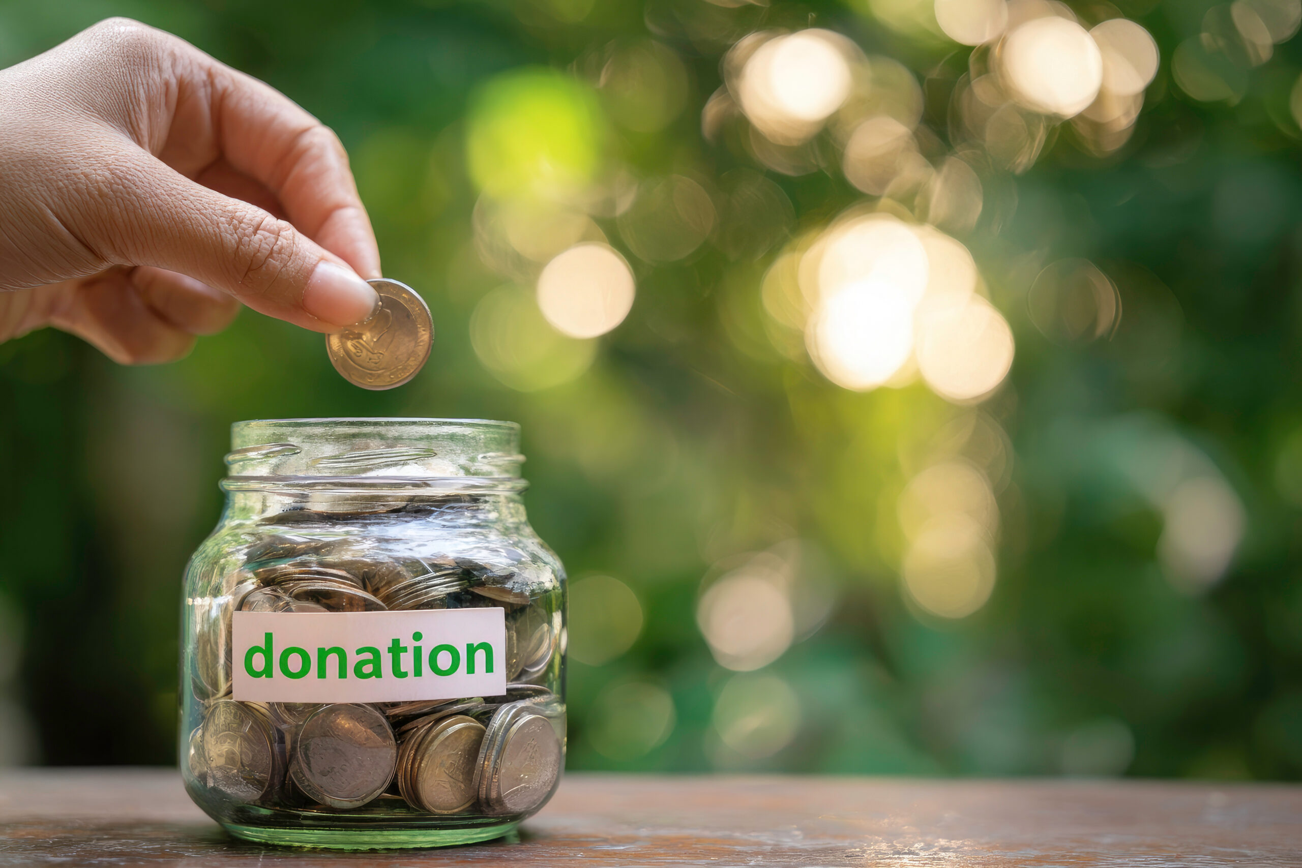 Individual Donor Fundraising for Nonprofits – Quick Reference Guide