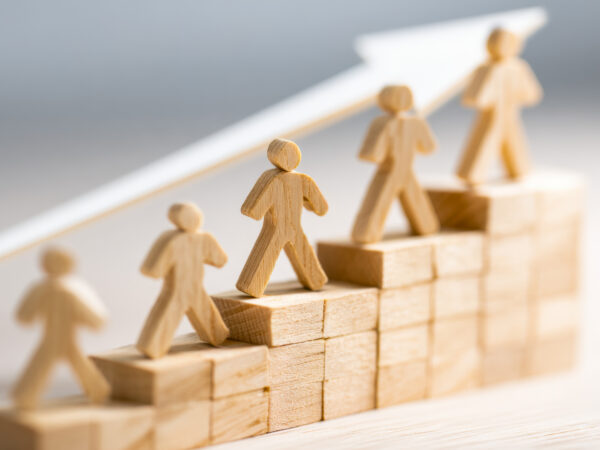 Personal Leadership Development for Nonprofit Professionals – Quick Reference Guide