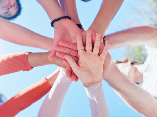 Team Building in Nonprofit Organizations – Quick Reference Guide